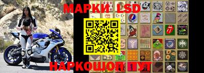 крисы Кингисепп