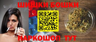 крисы Кингисепп
