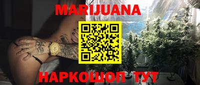 крисы Кингисепп