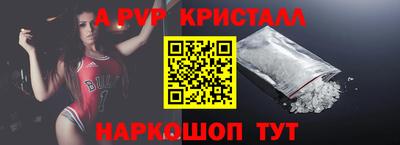 крисы Кингисепп