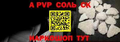 крисы Кингисепп