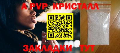 крисы Кингисепп