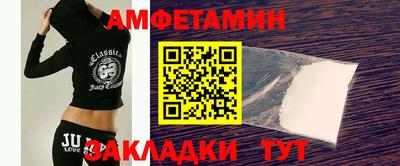 крисы Кингисепп